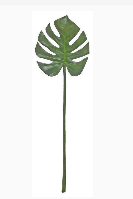 Split Leaf