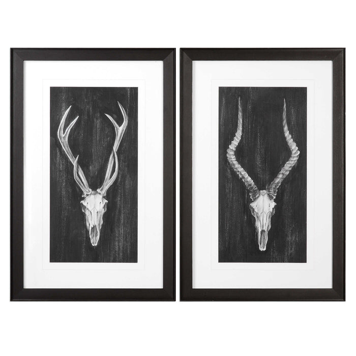 Rustic European Mounts Framed Prints