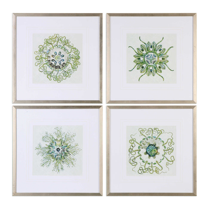 Organic Symbols Framed Prints