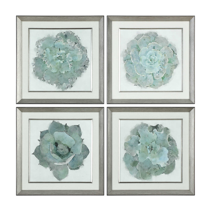 Natural Beauties Framed Prints