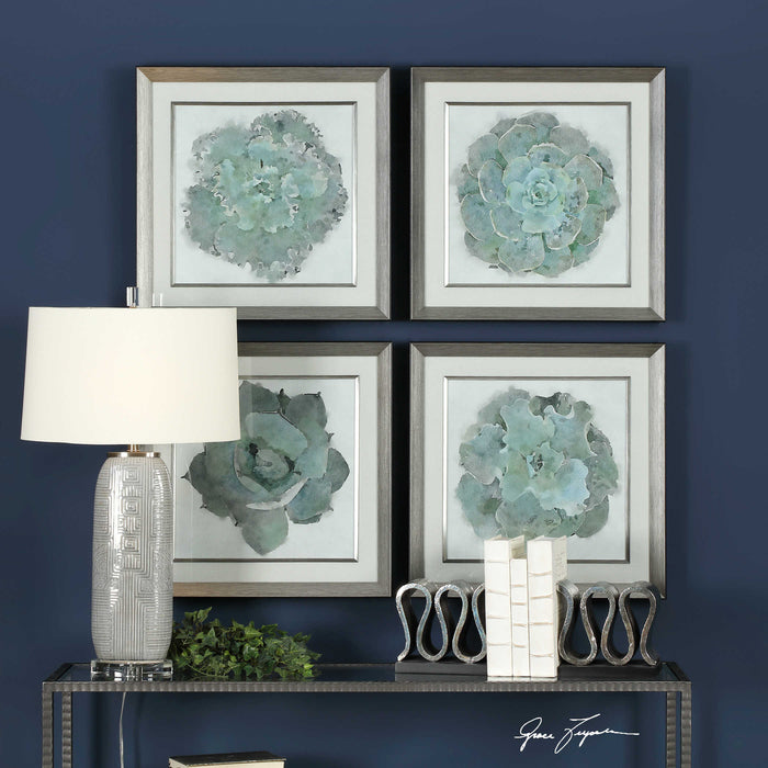 Natural Beauties Framed Prints