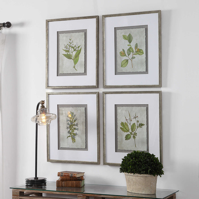 Stem Study Framed Print