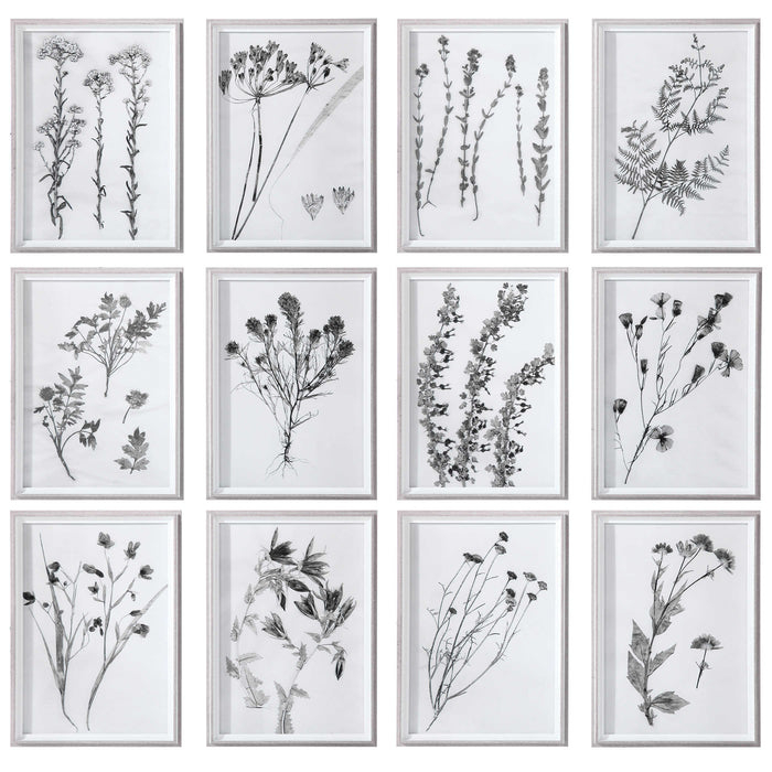 Contemporary Botanicals Framed Print