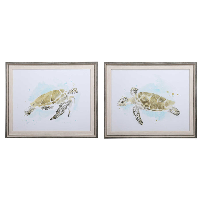 Sea Turtle Study Framed Prints