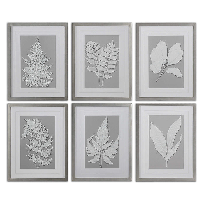 Moonlight Ferns Framed Print