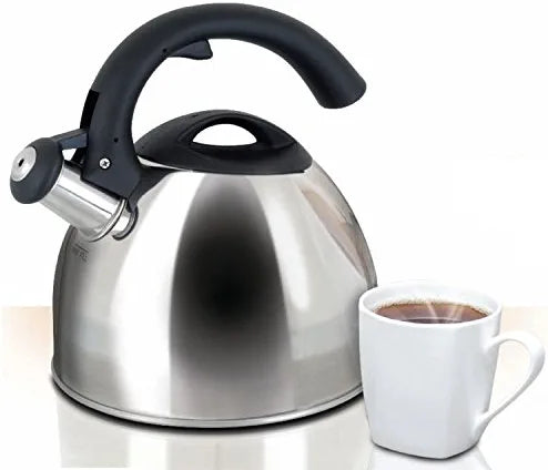 Mr. Coffee Steamline Stainless Steel Tea Kettle With Lid