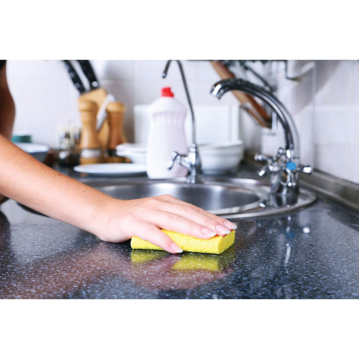 HIC Kitchen Pop Up Sponges