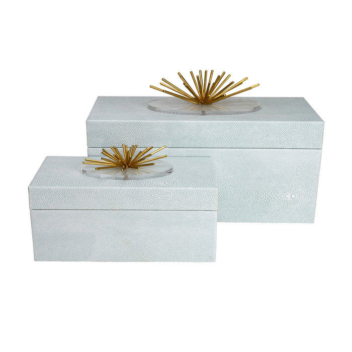 Urchin Box