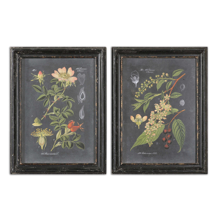 Midnight Botanicals Framed Print