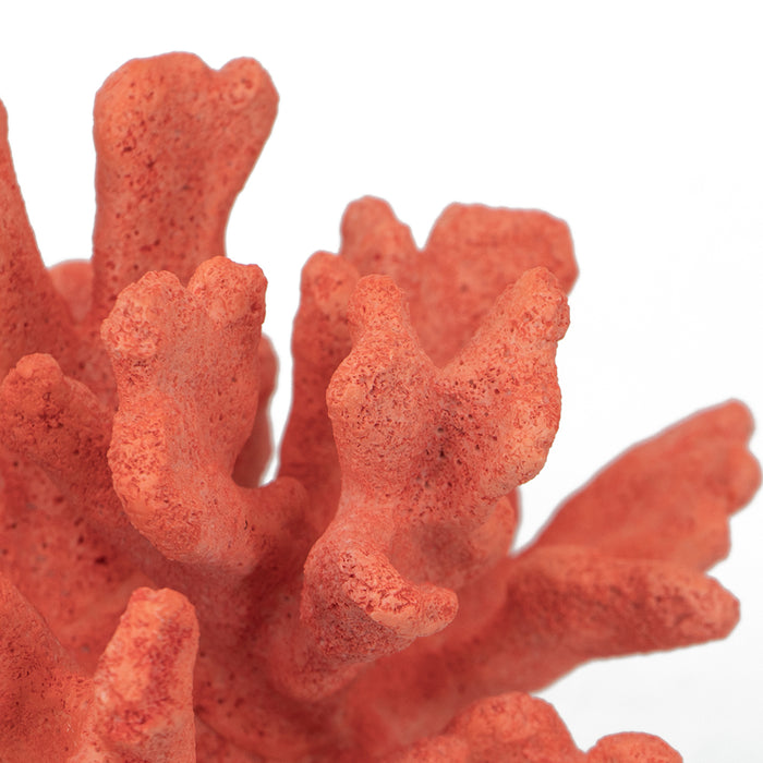 Faux Coral With Base