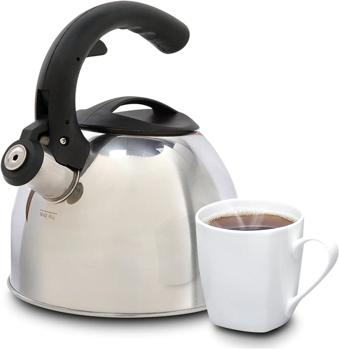 Mr. Coffee Steamline Stainless Steel Tea Kettle With Lid