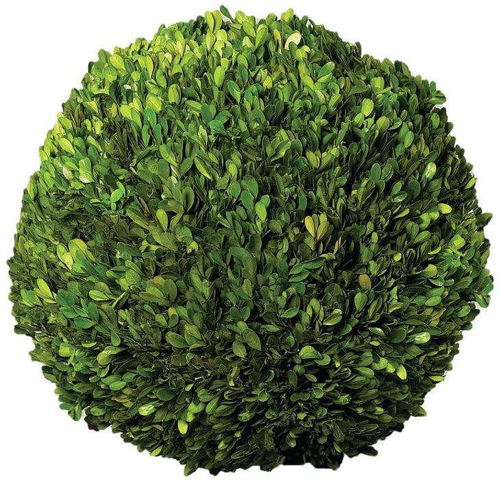 Ball Topiary