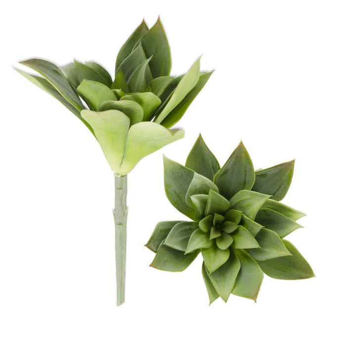 7" Green Succulent Stem
