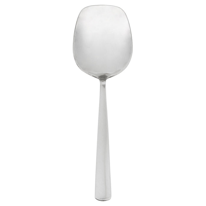 Stainless Steel Serving Spoon