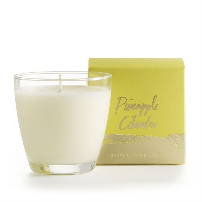 Pineapple Cilantro Demi Boxed Glass