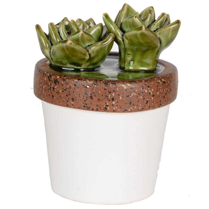 Ceramic Succulent Decorate