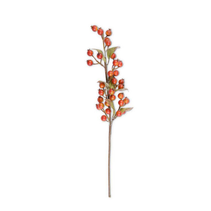 32" Burnt Orange Rosehip Stem