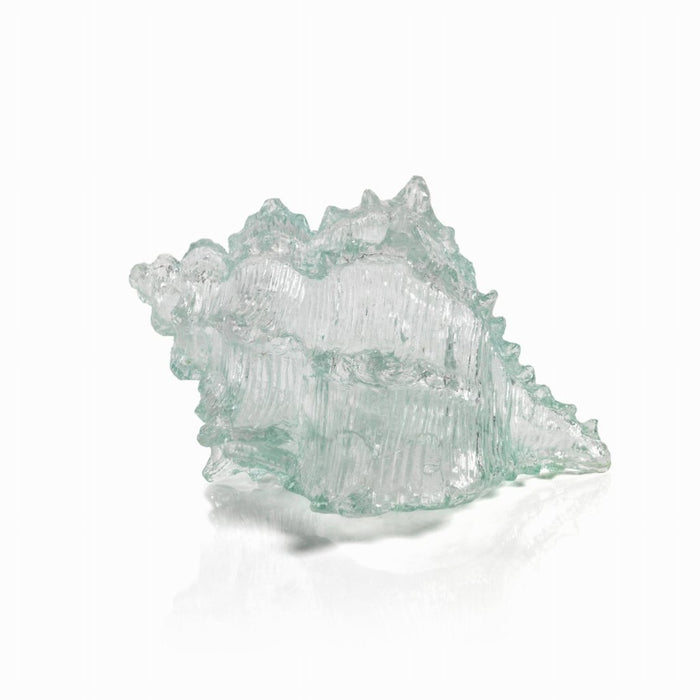 Cayo Decorative Conch Shell