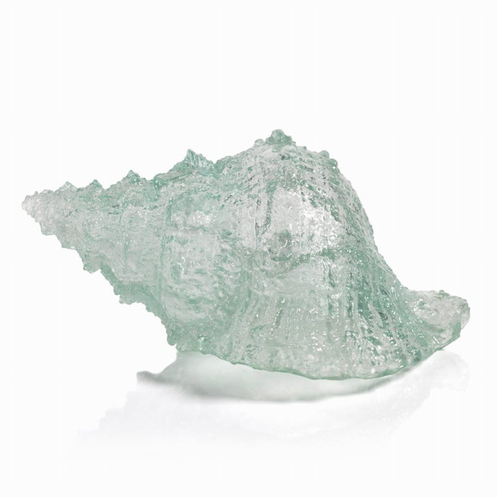 Cayo Decorative Conch Shell