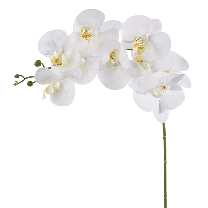 Real Touch White Orchid Stem