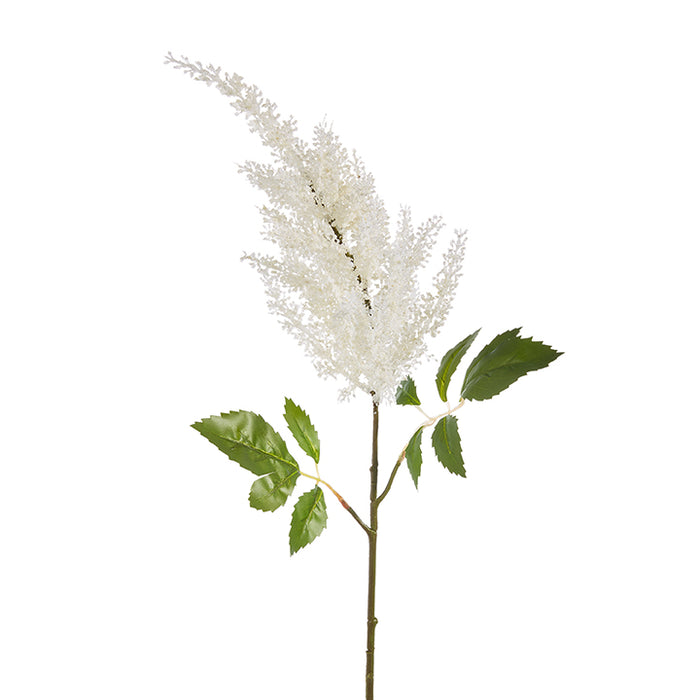 White Astilbe Stem