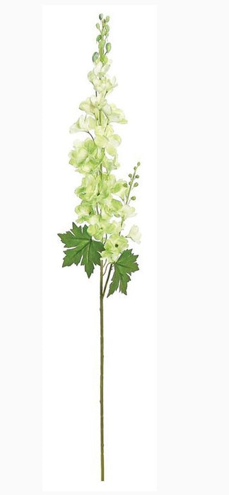 Garden Delphinium