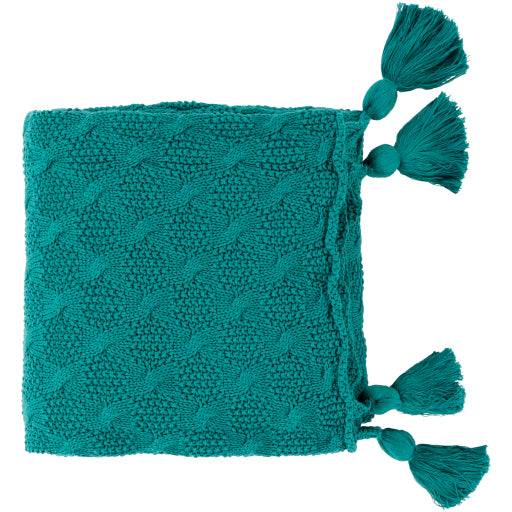 India Teal Throw