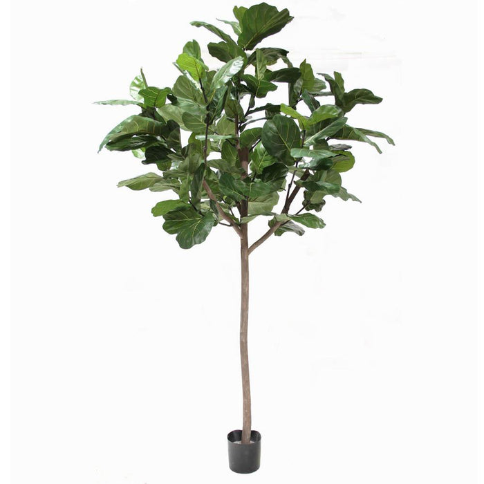 9.5' Potted Giant Trunk