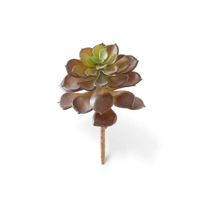 7" Purple Echeveria Succulent Pick