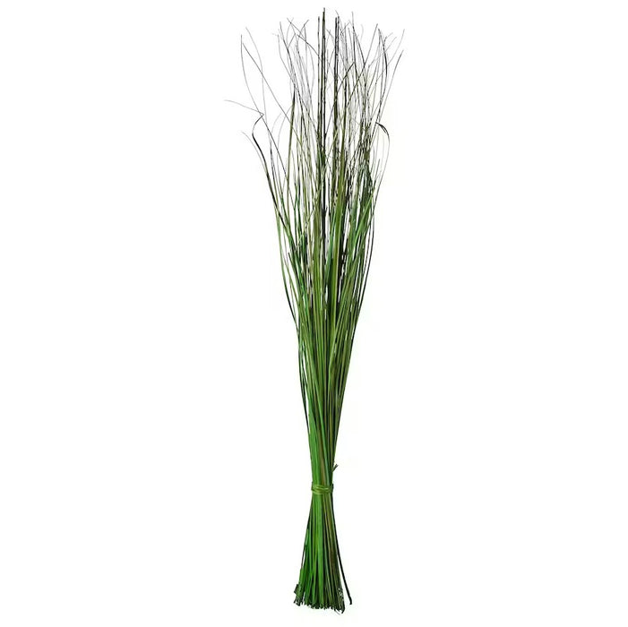 Dried Bouquet Plant