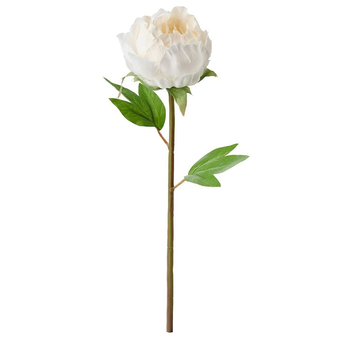 Peony & White Flower
