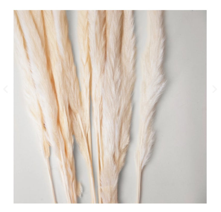 14-Piece White Pampas Bundle