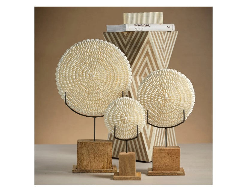 Natural Clamrose Sea Shells On Wood Stand