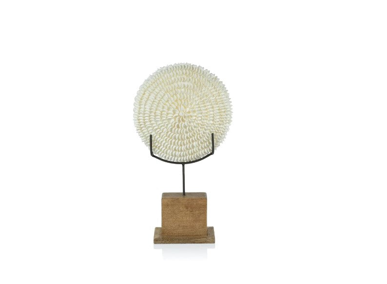 Natural Clamrose Sea Shells On Wood Stand