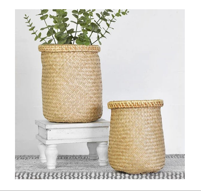 Seagrass Planter