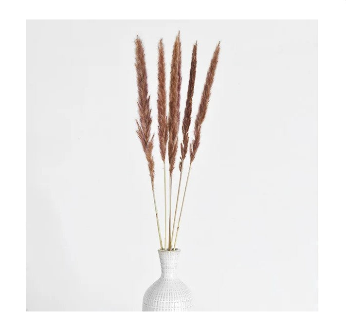 Pampas Flowers - Set Of 6