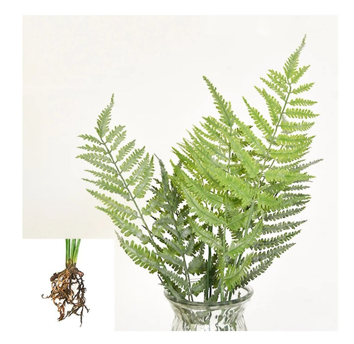 Athyrium Leaf