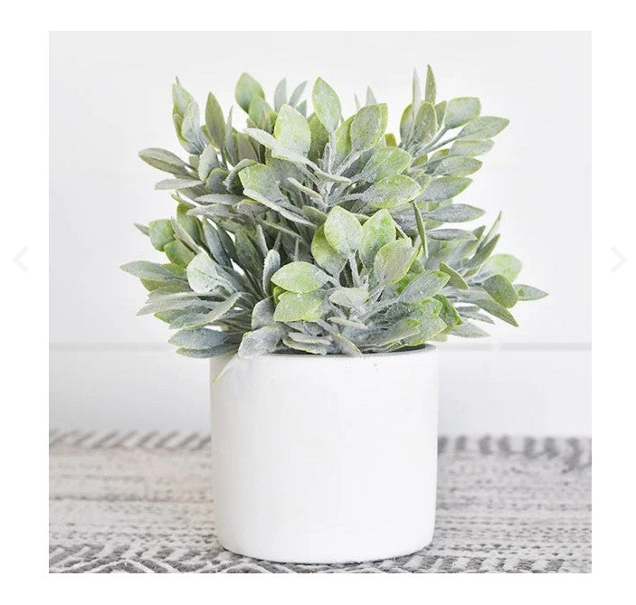 Green Bush With Pot