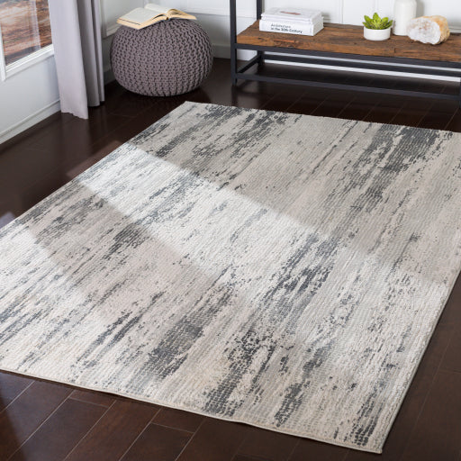 Aisha Medium Gray Rug