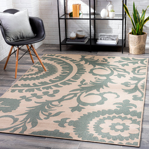 Alfresco Sage/Cream Rug