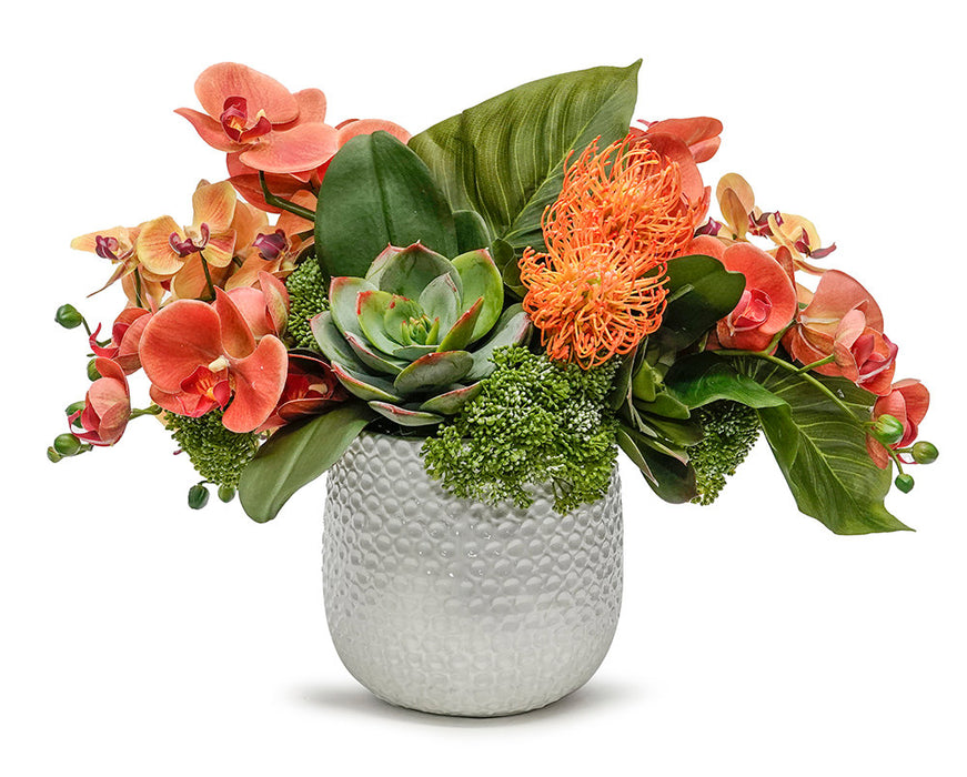 Orchids In Ginny Pot
