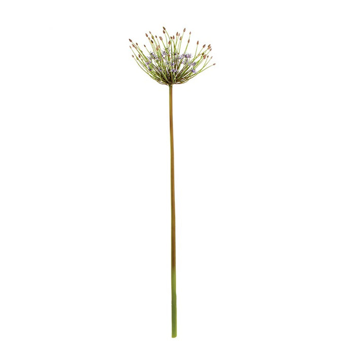 Starburst Alium Stem Topiary