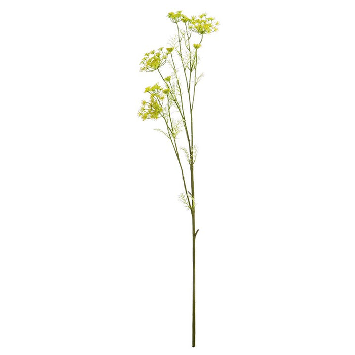 Anise Stem Topiary