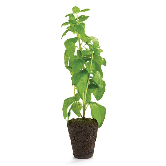 18" Basil Drop-In Topiary