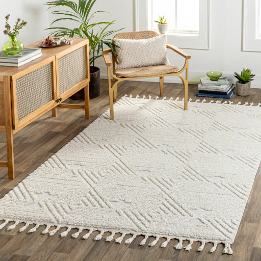 Nora 8x10 Rug