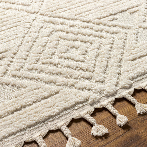 Nora 8x10 Rug