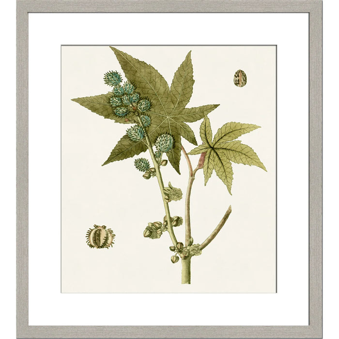 Botanical Leaf Art