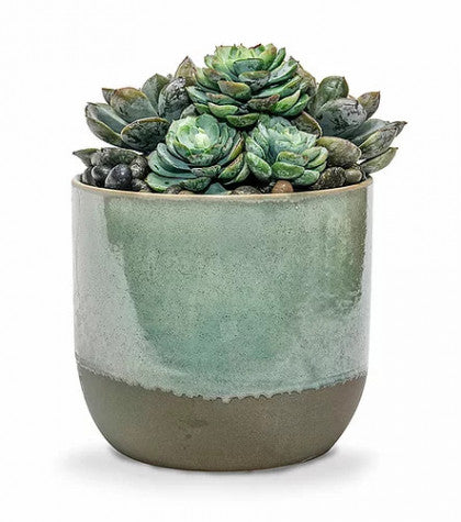 Caribe Large Succulent Pot