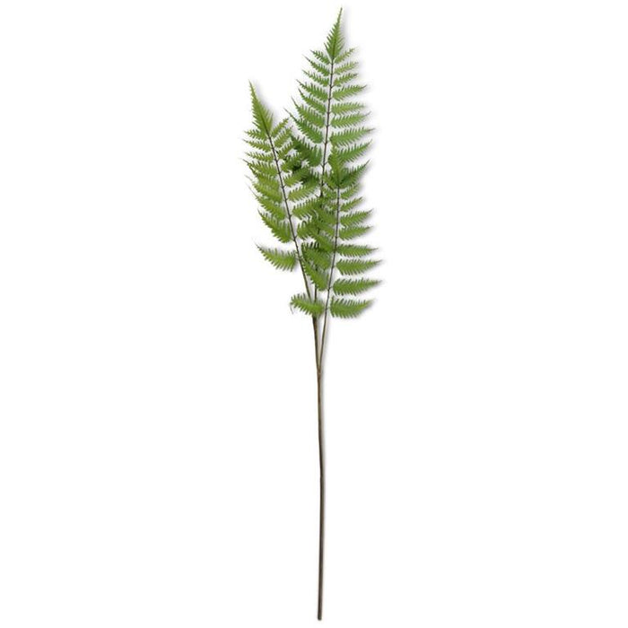 3 Branch Fern