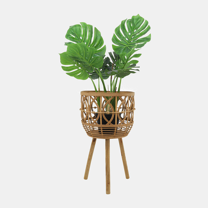 Bamboo Planter